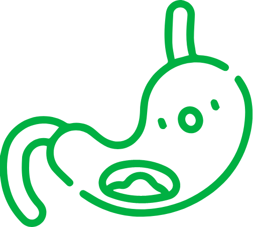 Lower Risks of Gastritis and Peptic Ulcers