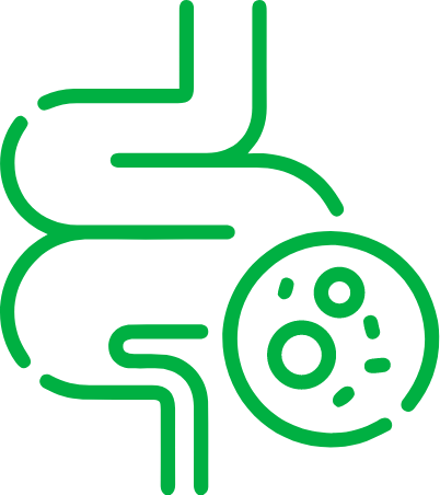 Restore Gut Microbiota