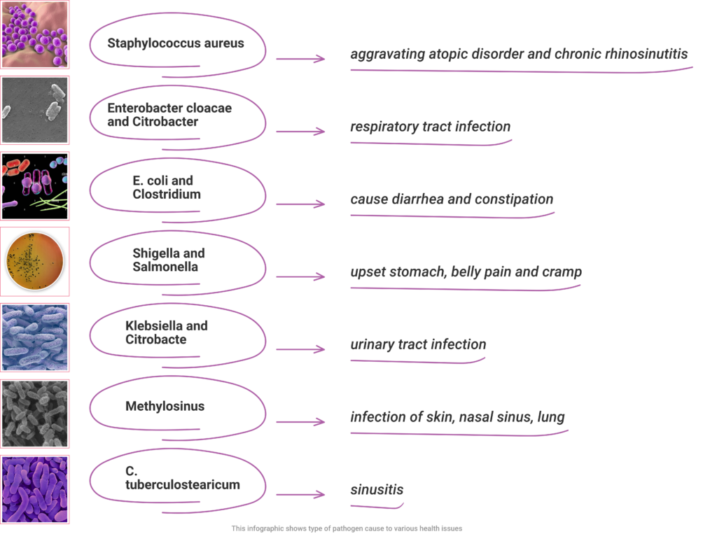 UNDERSTANDING HARMFUL MICROBES AND ALLERGENS