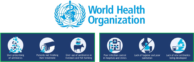 world health organization